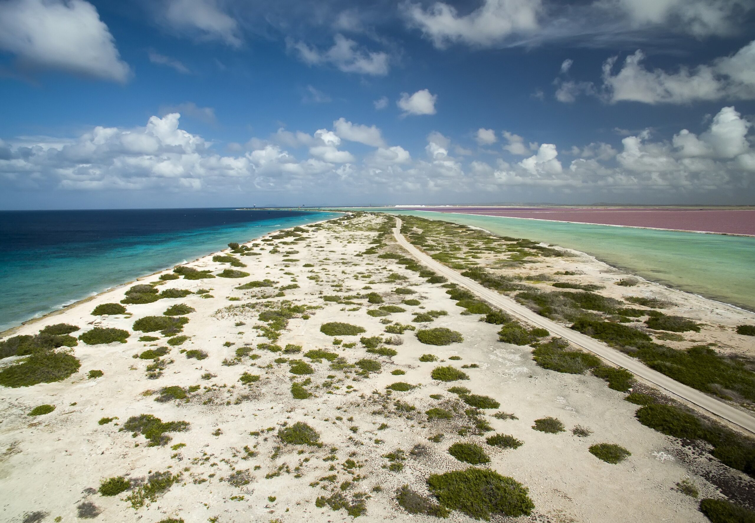 Bonaire - Nurkowanie - GoDive