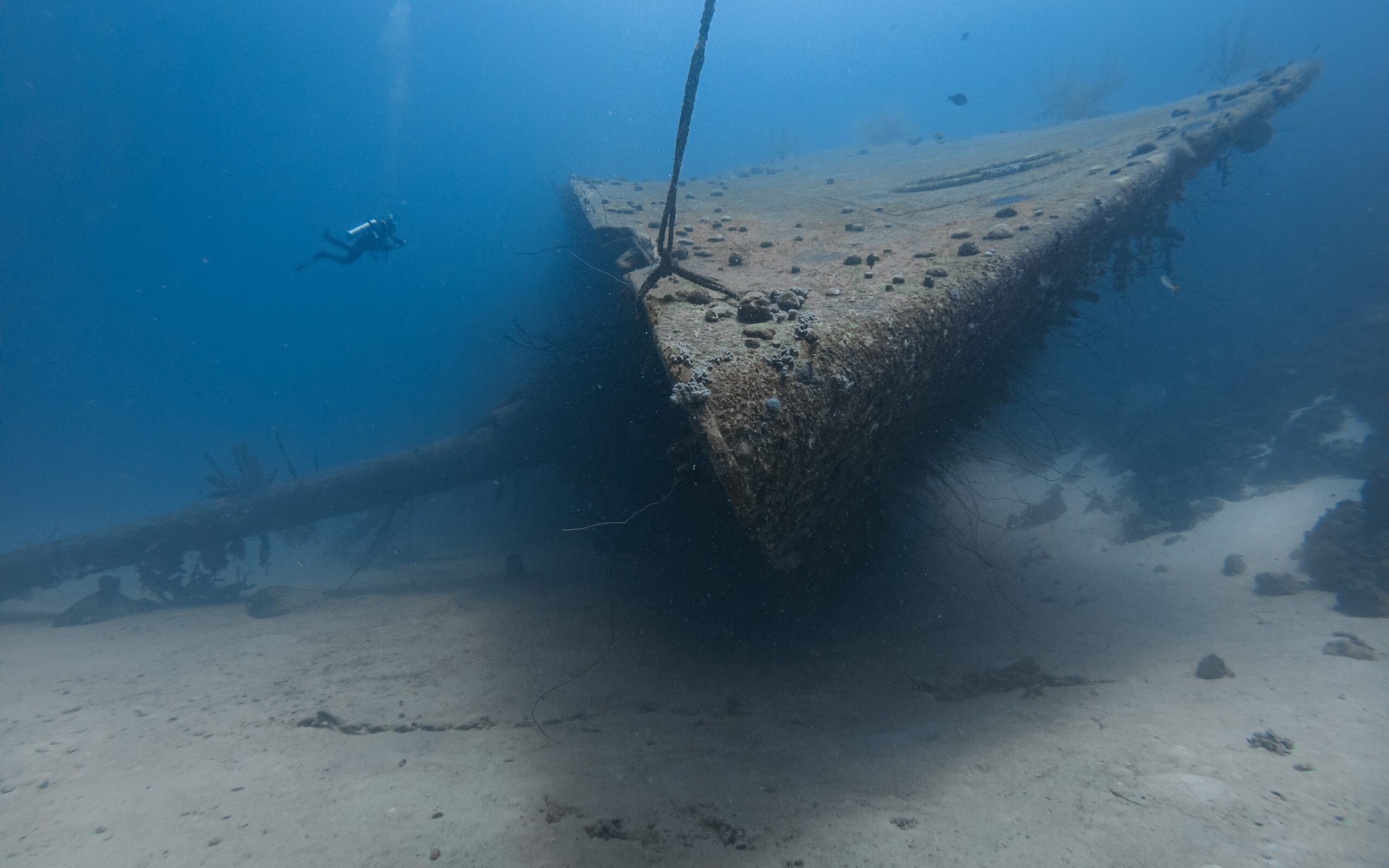 Bonaire - Hilma Hooker - Nurkowanie - GoDive